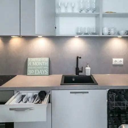 Kalamehe Modern 2 Near Center 公寓 派尔努