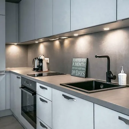 公寓 Kalamehe Modern 2 Near Center