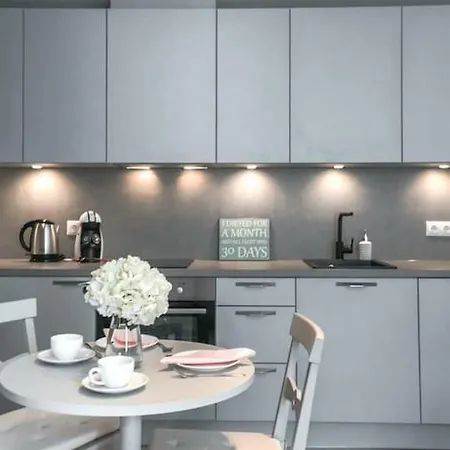 公寓 Kalamehe Modern 2 Near Center *