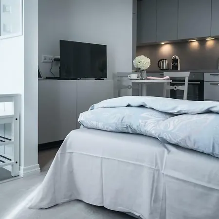 Kalamehe Modern 2 Near Center Lejlighed