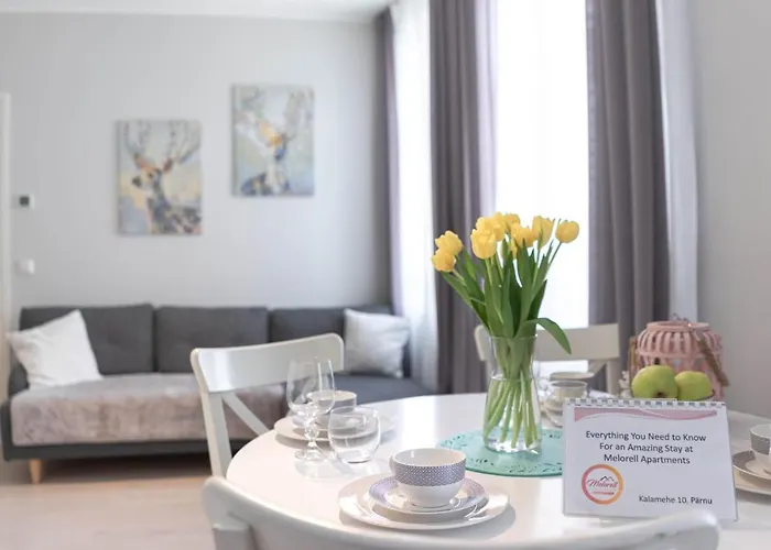 Kalamehe Modern 2 Near Center Appartement Pärnu