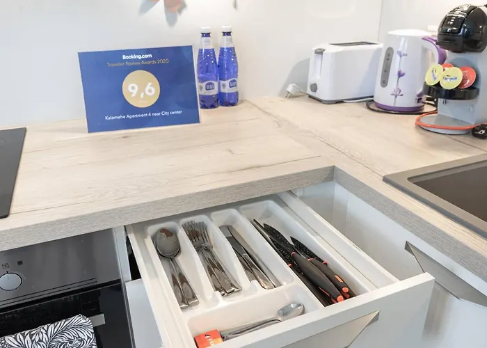 Kalamehe Modern 2 Near Center * Pärnu