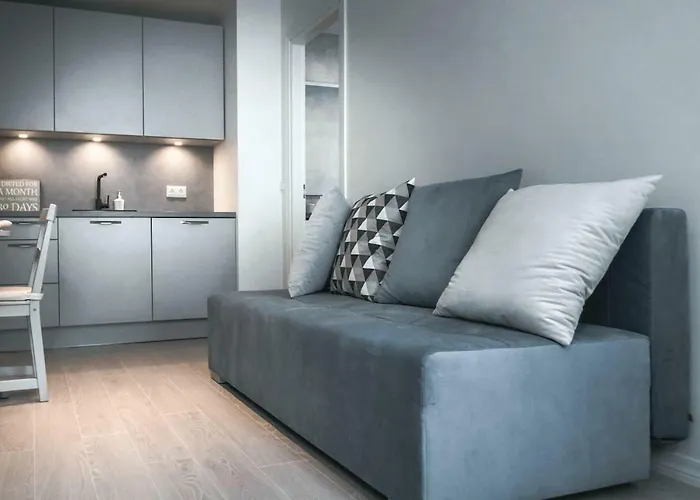 Kalamehe Modern 2 Near Center * Pärnu